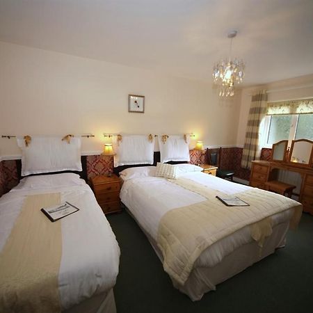 キルケニー ロウナード ハウス Bed & Breakfast エクステリア 写真
