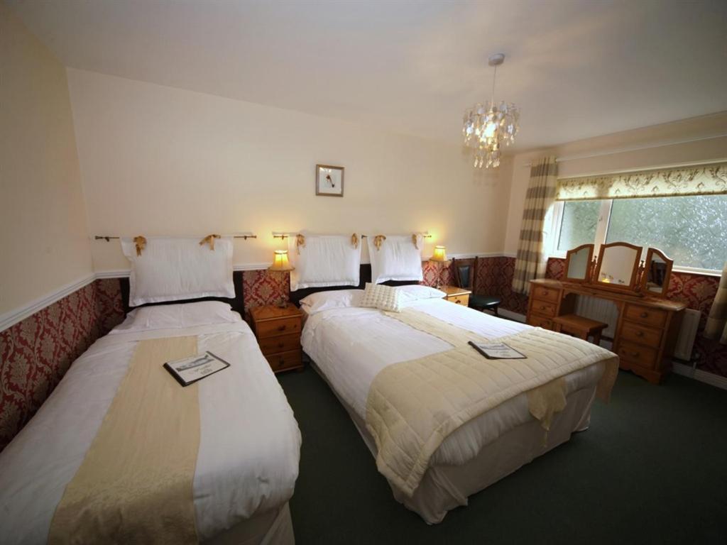 キルケニー ロウナード ハウス Bed & Breakfast エクステリア 写真