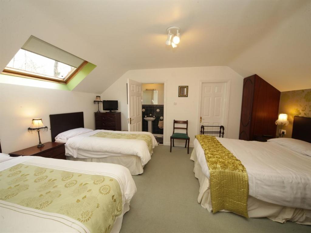キルケニー ロウナード ハウス Bed & Breakfast エクステリア 写真